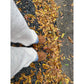 Bozeman Sweater Pants