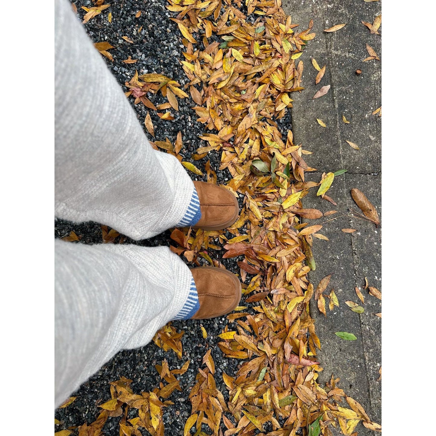 Bozeman Sweater Pants